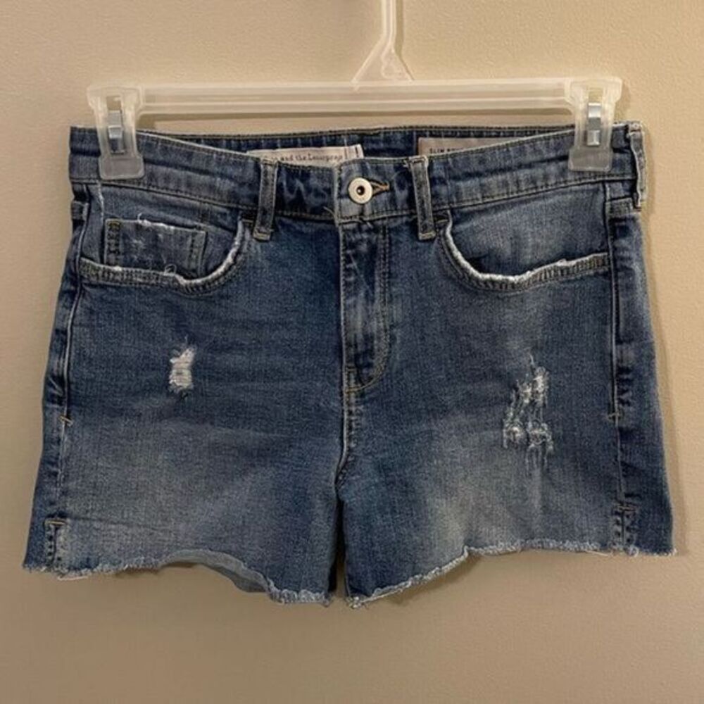 Pilcro and the Letterpress Slim‎ Boyfriend Demin Jean Shorts Size 27